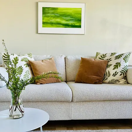 公寓 Rauha 科沃拉